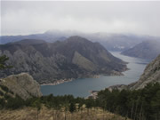 Kotor