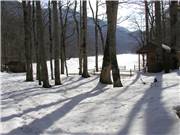 Biogradska gora