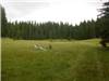 Durmitor