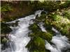 Fiume Tara