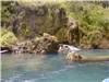 Fiume Tara