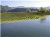 Lago di Scutari