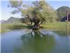 Lago di Scutari